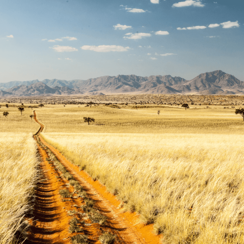 Yogasafari in Namibia, Januar 2024